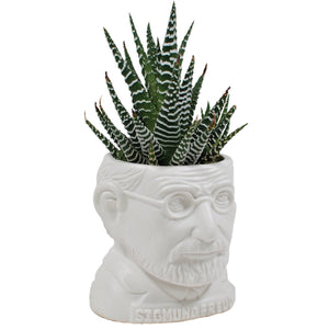 Plant Pot Sigmund Freud Mini Planter White