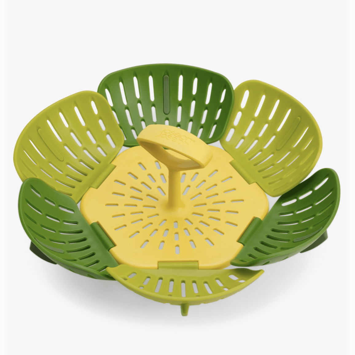 Folding Steamer Green Bloom