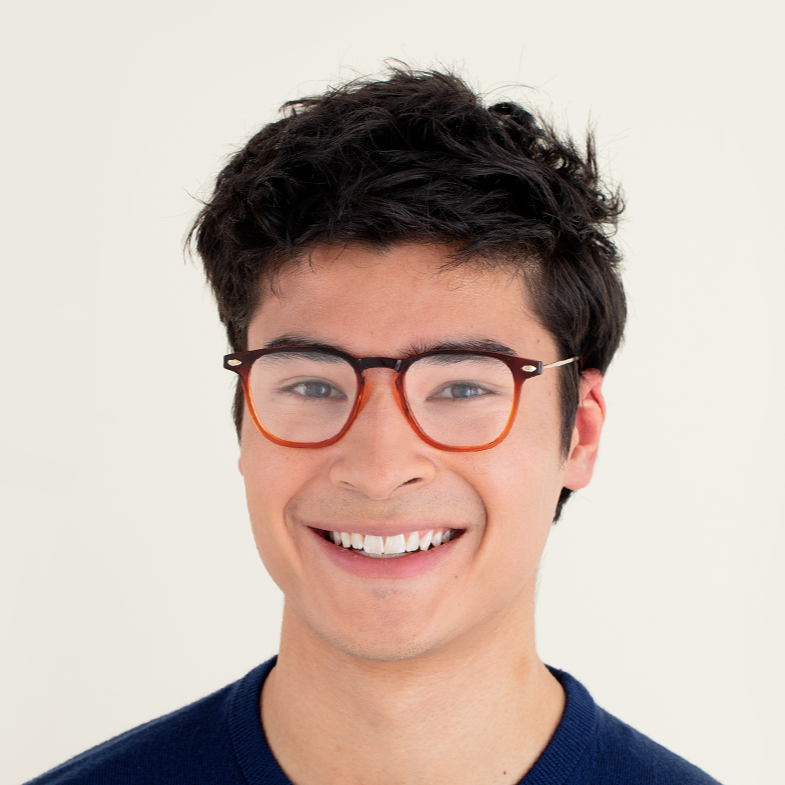 Reading Glasses +1 Tortoise Bronze Dino with Case Nooz