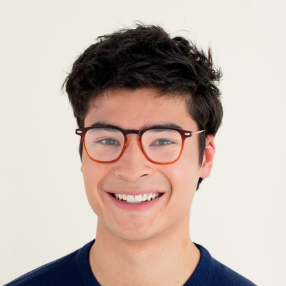 Blue Light Glasses +2 Bronze Tortoise Dino with Case Nooz