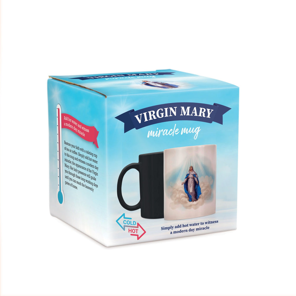 Mug The Virgin Mary Miracle