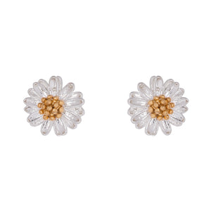 
            
                Load image into Gallery viewer, Wildflower silver and gold earrings
            
        