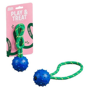 Dog Toy Play & Treat