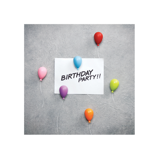 Balloon magnets set of 6 in multicolour