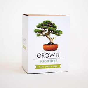 Bonsai Tree Grow Your Own Kit with Seeds Grow It