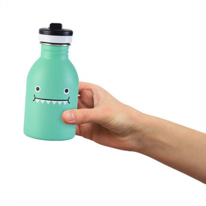 Dinosaur Water Bottle Ricedino Green Noodoll x 24 Bottles