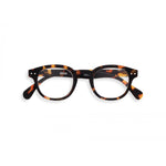 Reading Glasses Style C Tortoise +2.5