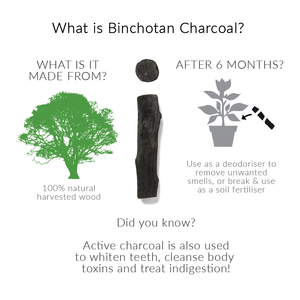 Charcoal Filter Water Binchotan activated charcoal