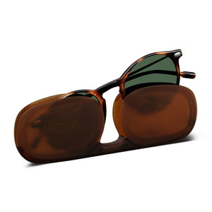 Sunglasses Cruz Nooz Tortoise