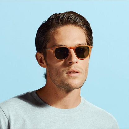 Sunglasses Dino Nooz Honey