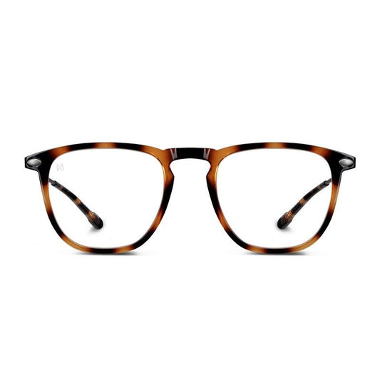 Blue Light Glasses Dino Nooz Tortoise