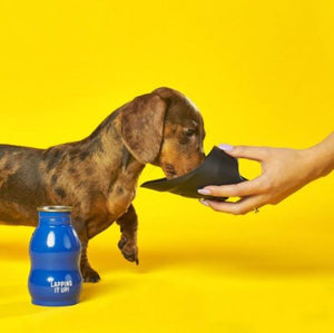 Travel Water Bottle & Travel Bowl