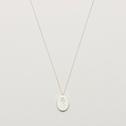 Necklace with a dandelion pendant in silver
