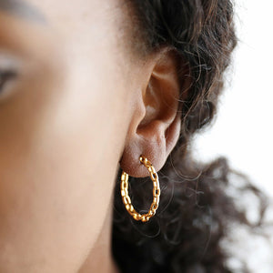 XXEB Chain Hoop Earing Gld