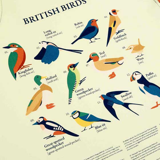 Apron RSPB British Birds Illustrated