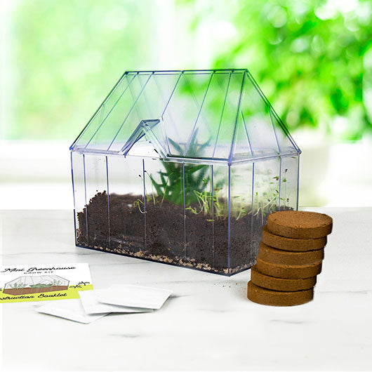 Mini Greenhouse Kit Gift Republic