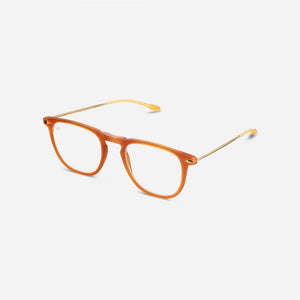 Reading Glasses +2 Honey Nooz Dino Essentials