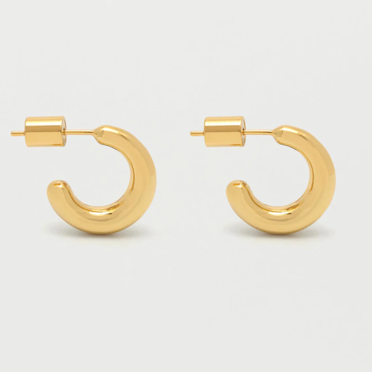 Earrings Hoop Mini Plated Gold Estella Bartlett
