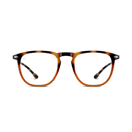 Reading Glasses +3 Tortoise Bronze Dino with Case Nooz
