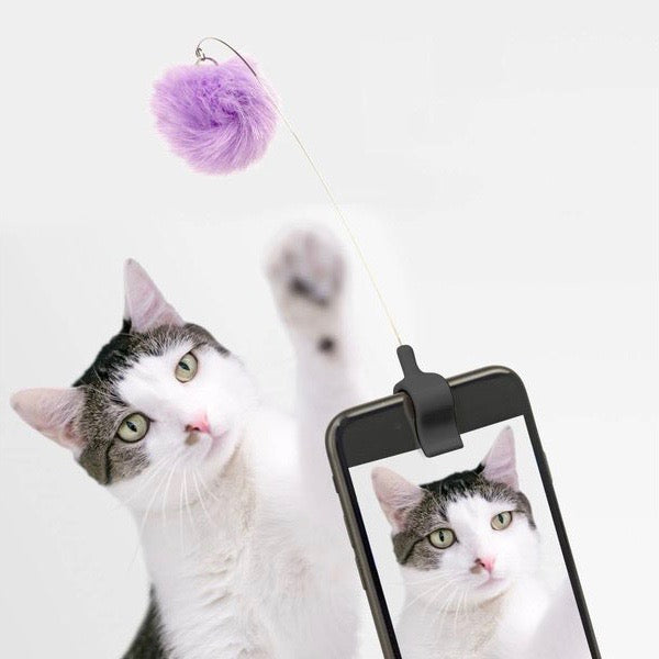 Cat toy phone clip for kittens