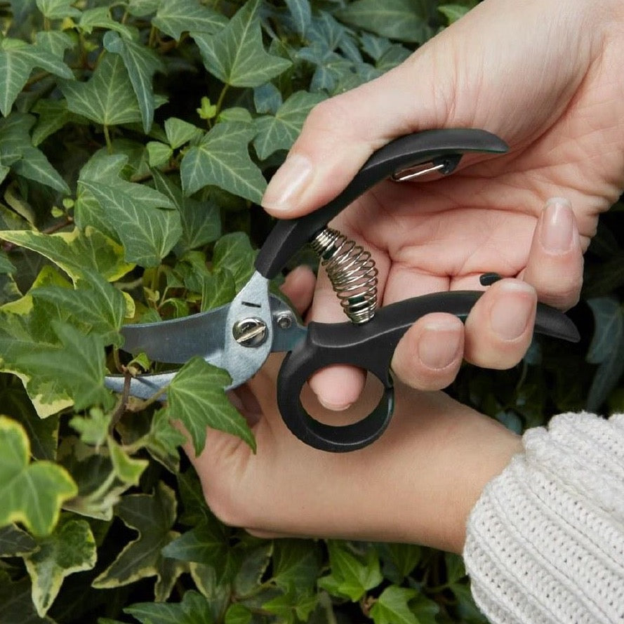 Garden Shears in Stainless Steel and Black