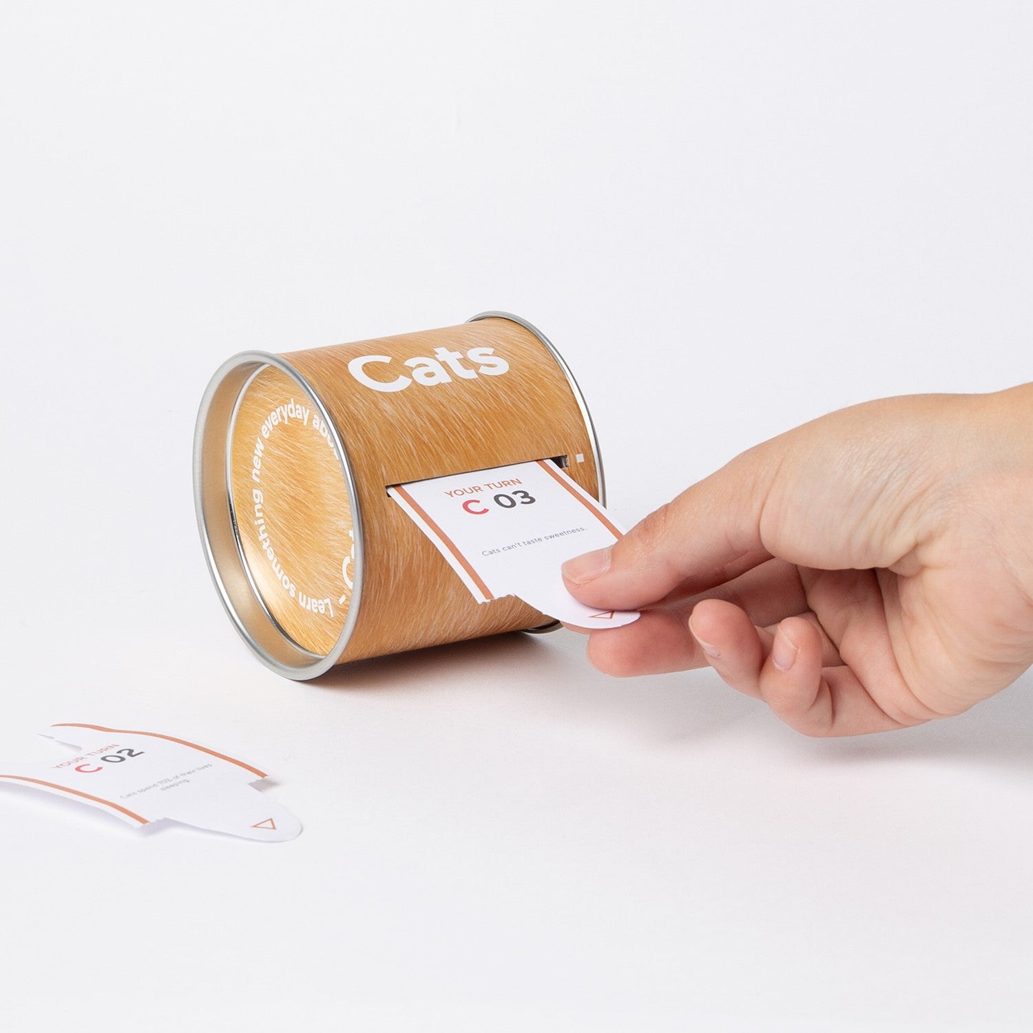 Gift 'Learn Something New About Cats' Facts Ticket Roll