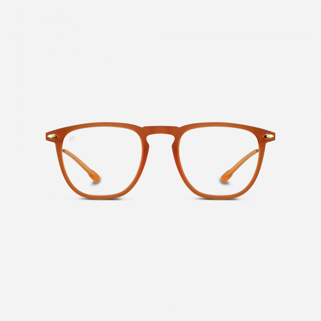 Reading Glasses +1 Honey Nooz Dino Essentials