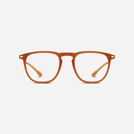 Reading Glasses +1.5 Honey Nooz Dino Essentials