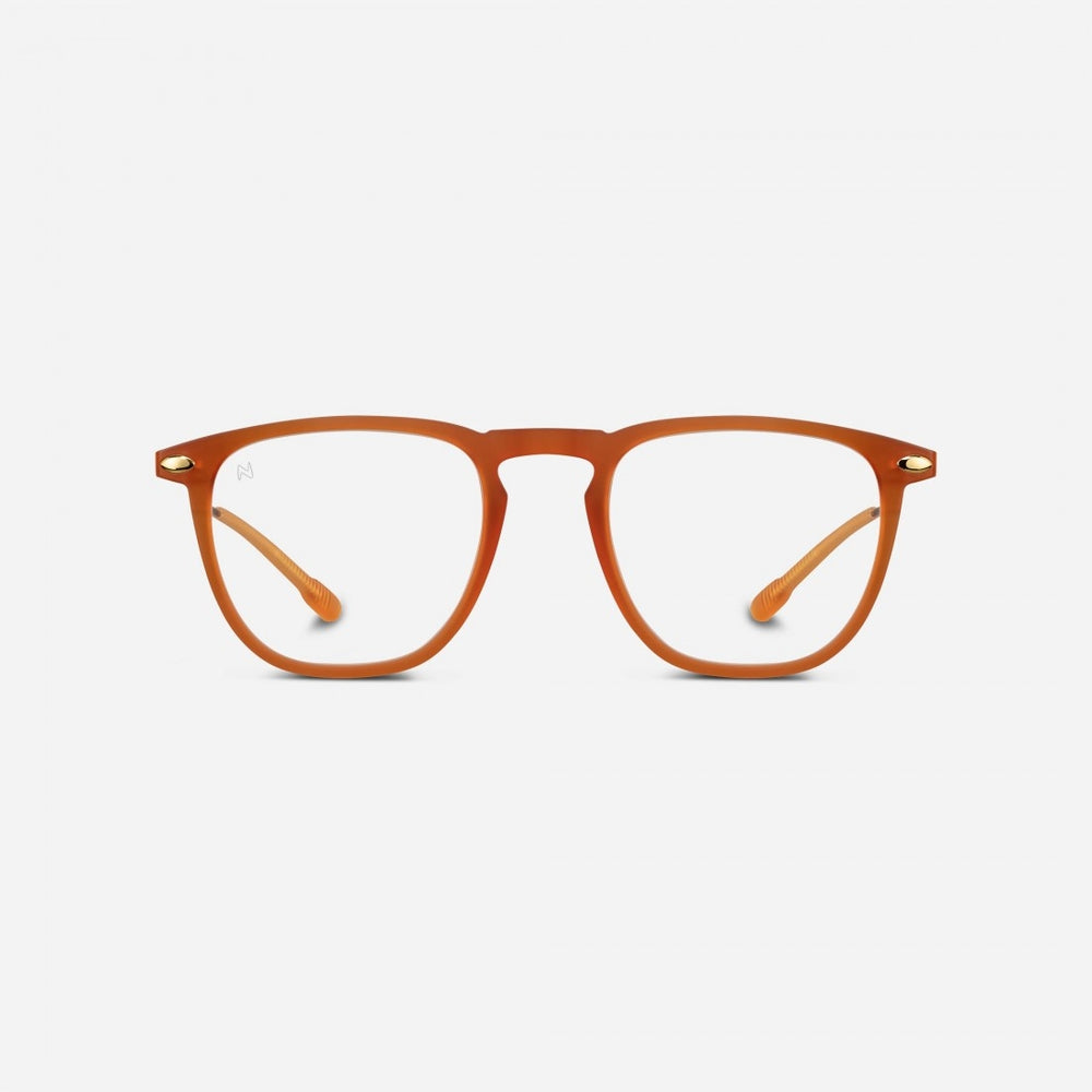 Reading Glasses +2 Honey Nooz Dino Essentials