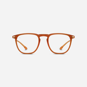 Reading Glasses +2 Honey Nooz Dino Essentials