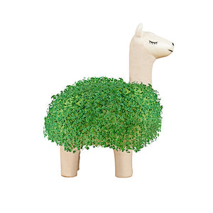 Llama Planter with Chia Seeds Gift Republic