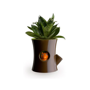 Self Watering Plant Pot Log and Squirrel in Brown