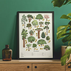 Poster Wall Print Trees of Interest Nature Science The Chartologist