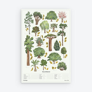 Poster Wall Print Trees of Interest Nature Science The Chartologist