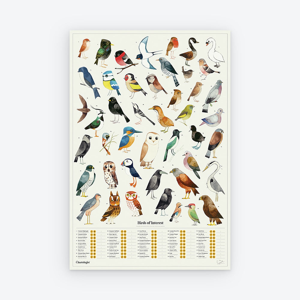 Scratch Poster Birds of Interest Print The Chartologist