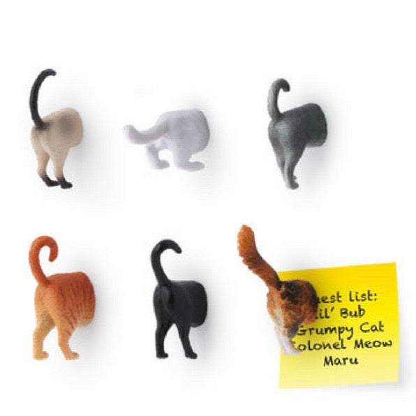 Magnets shaped like Cat Butts in multicolours