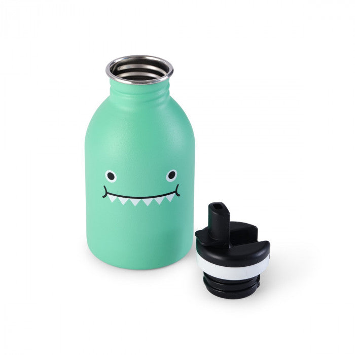 Dinosaur Water Bottle Ricedino Green Noodoll x 24 Bottles