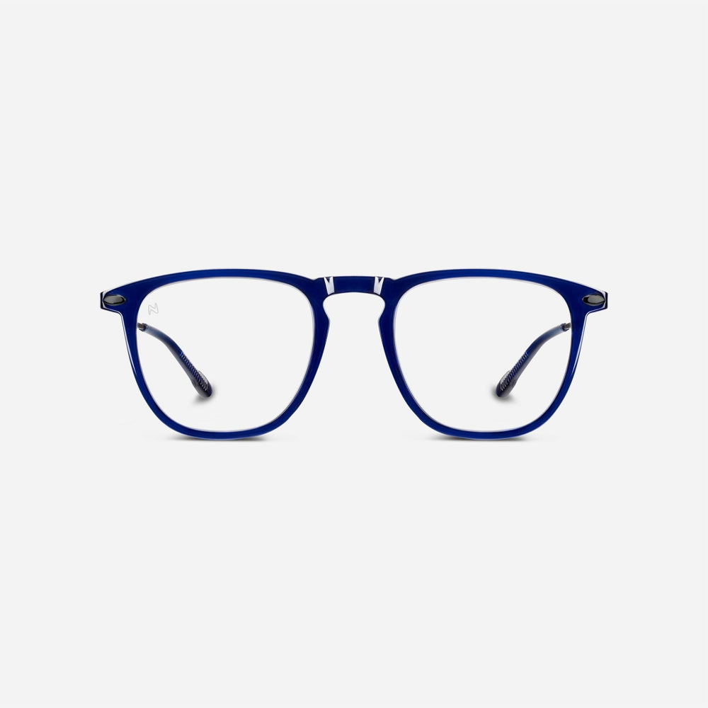 Reading Glasses +2 Navy Dino Nooz Essentials