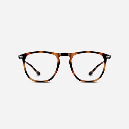Blue Light Glasses +1.5 Dino Nooz Tortoise