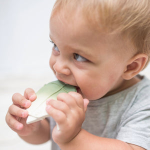 Baby teether and bath toy Turtle 'H2Origami' in green made from natural rubber