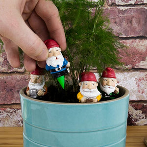 Gnome Plant Pot Marker Figurines for Garden Mini