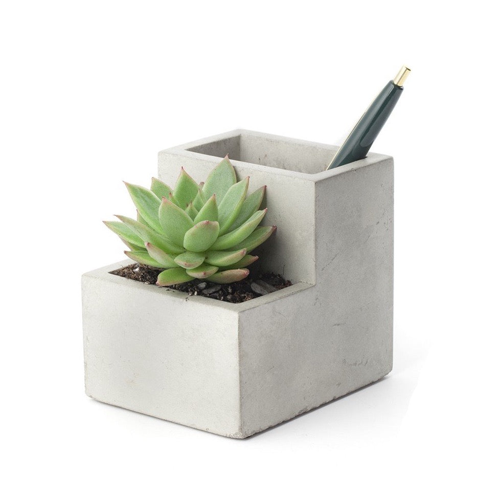 Planter and Pen Holder Desk Tidy Stationery Small Organiser Concrete in Grey