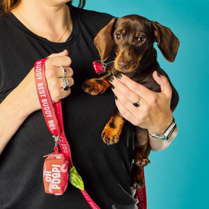 Dog Poop Bags Holder Messy Pup