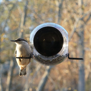 Bird Feeder Closeup Window with Perch Small