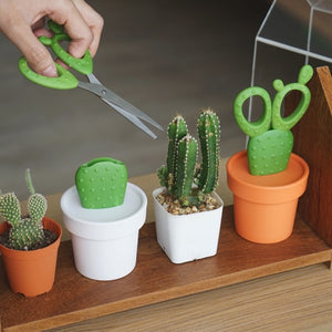 Scissors Cactus in White and Green Desk Tidy