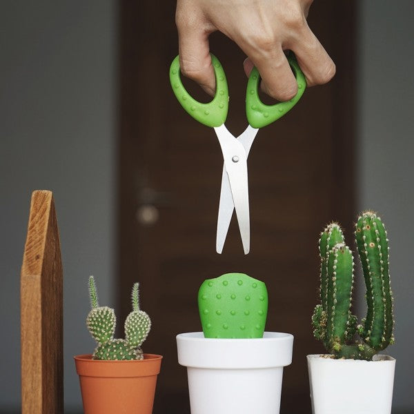 Scissors Cactus in White and Green Desk Tidy