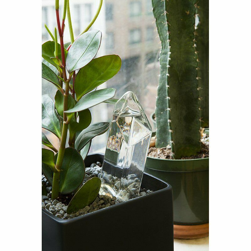 Soil self watering 'Water From A Crystal' in glass