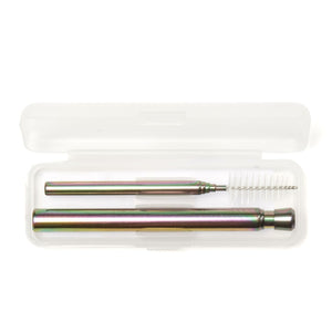 Metal Straw and Brush Travelling Set Iridescent