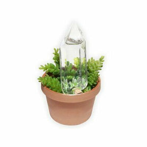 Soil self watering 'Water From A Crystal' in glass