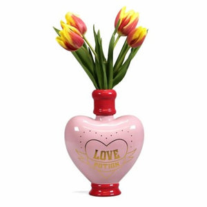 Love Potion Vase Pink Red Harry Potter